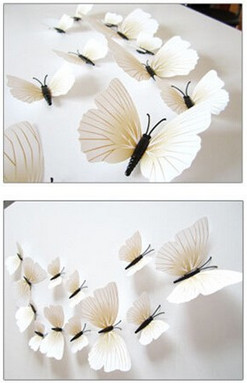 motýlci na stěnu
