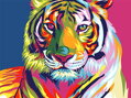 Diamantový obrázok Farebný tiger