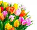 Maľovanie podľa čísiel Kytica tulipánov