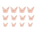 3D dekorácia Motýle HB012 Rose Gold