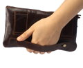 Kožená ľadvinka Brown BR230