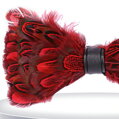 Motýlik z peria Miranda BT0403 Red