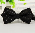 Motýlik Miranda Suit Bow 12