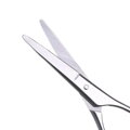 Nožnice na fúzy Miranda Scissors SC403