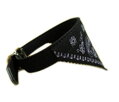 Obojok so šatkou červený 20-26 cm