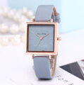 Hodinky Dicaihong 5007-2 Light Grey