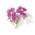 Brošňa Flower X2261