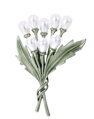 Miranda Brošňa Flower KV0025