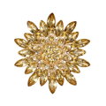 Brošňa Kvet AM017 Gold