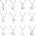 Prívesok so znamením zverokruhu 4136 Silver