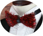 Motýlik z peria Miranda BT0403 Red
