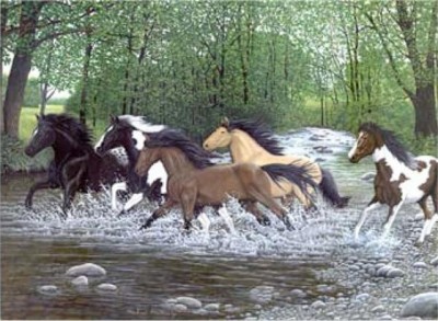 Maľovanie podľa čísiel Bežiaci kone riekou