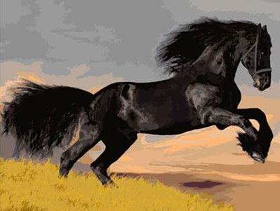 Maľovanie podľa čísiel Čierny žrebec