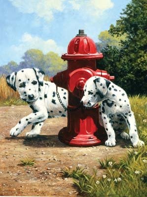 Maľovanie podľa čísiel Dalmatínci u červeného hydrantu
