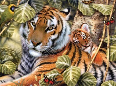 Maľovanie podľa čísiel Tiger a mláďa
