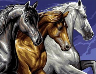 Diamantové maľovanie - Tři koně  30x40cm
