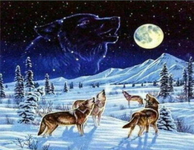 Diamantové maľovanie - Vlci v zime 30x40cm