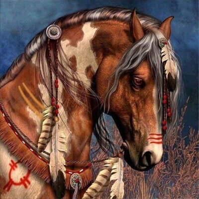 Diamantový obrázok Indiánsky kôň