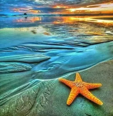 Diamantový obrázok Hviezdice na pláži