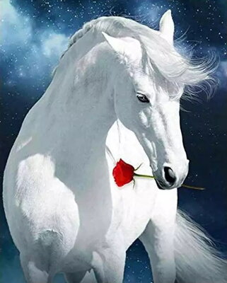 Diamantový obrázok Kôň s ružou
