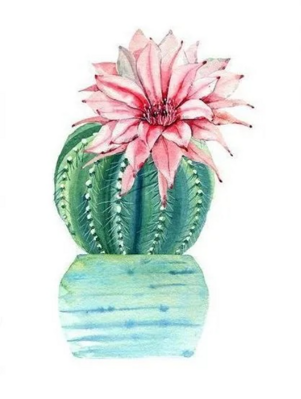 Diamantový obrázok Rozkvitnutý kaktus