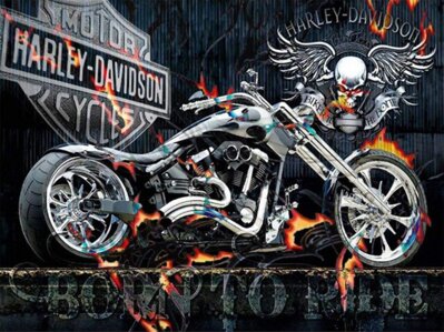 Maľovanie podľa čísiel Harley Davidson - Born to ride