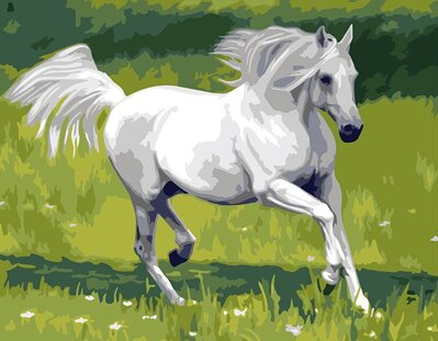 Maľovanie podľa čísiel Kôň beluš GX285