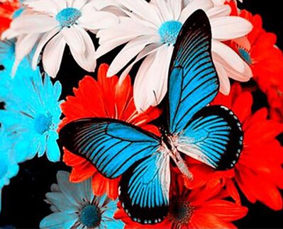 Maľovanie podľa čísiel Motýl na kvetoch