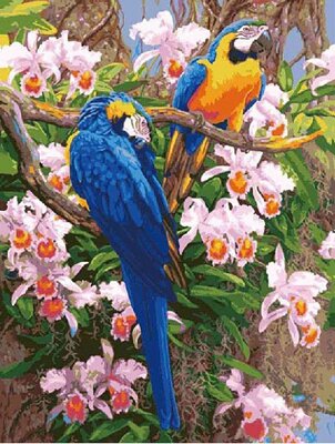 Maľovanie podľa čísiel Papagáje Ara DX337