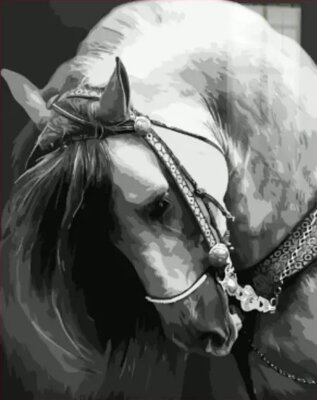 Maľovanie podľa čísiel Kôň beluš 44QA
