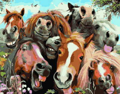 Maľovanie podľa čísiel Veselí kone