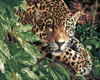 Maľovanie podľa čísiel Leopard RA217