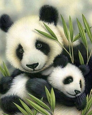 Maľovanie podľa čísiel Panda a mláďa 410ZP