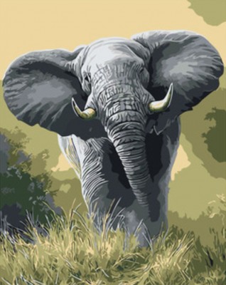 Maľovanie podľa čísiel Africký slon