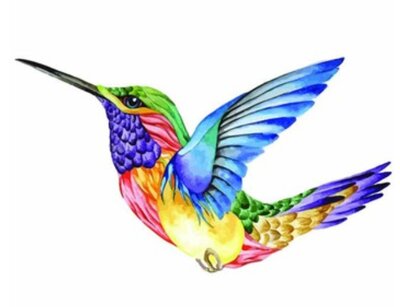 Maľovanie podľa čísiel Farebný kolibrík
