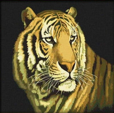 Maľovanie podľa čísiel Bengálsky tiger