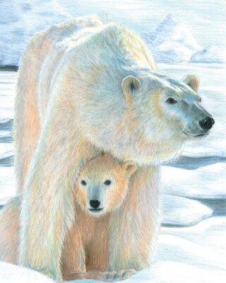Maľovanie podľa čísel pastelkami - Ľadový medveď