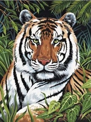 Maľovanie podľa čísiel Tiger v tráve