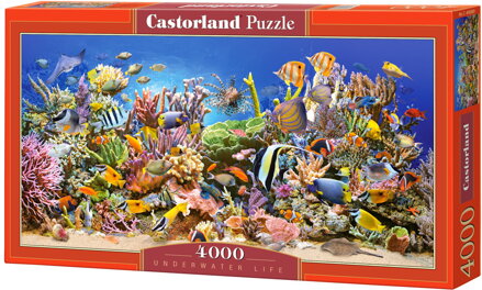 Castorland puzzle 4000 dielov - Podmorský svet