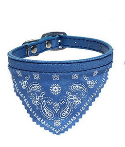 Obojok so šatkou modrý 20-26 cm