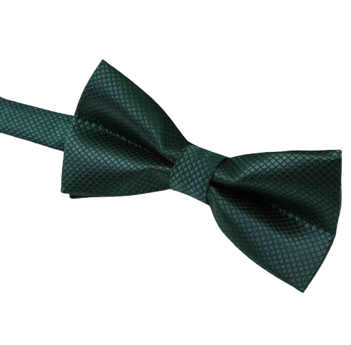 Detský mriežkovaný motýlik Green Detský mriežkovaný motýlik Green