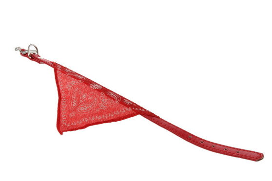 Obojok so šatkou červený 20-26 cm 2. jakost Obojok so šatkou červený 20-26 cm 2. jakost