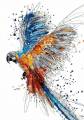 Maľovanie podľa čísiel Papagáj P6245