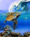 Maľovanie podľa čísiel Morská korytnačka MK3785